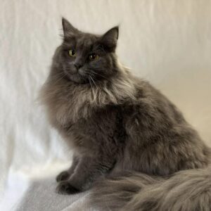 Thumbnail for the listing's main image