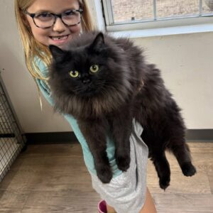 Thumbnail for the listing's main image